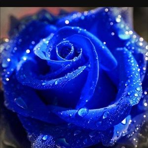 Meet your Posher, Toni